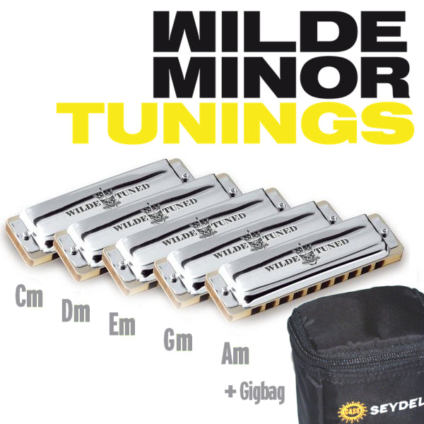 Seydel 1847 CLASSIC - Wilde Minor Tuning (Set of 5, Gm, Am, Cm, Dm