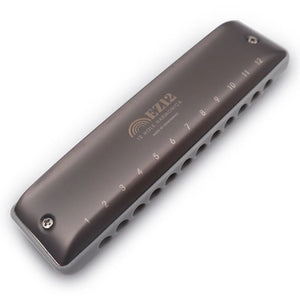 Kongsheng EZ12     12-Hole Diatonic Harmonica. Includes Free USA Shipping