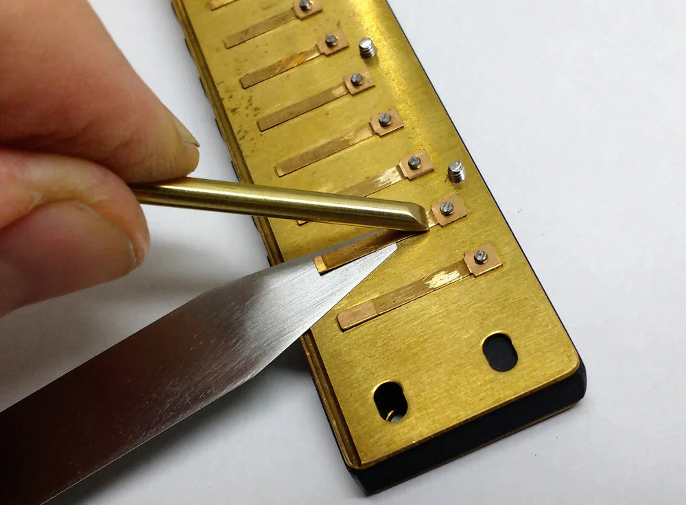 Custom Harmonicas by Dennis Fischette Hohner Special 20. Includes