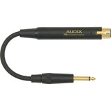 Audix Fireball V Microphone, Audix Inline Impedance Matching Transformer T50K, & Pig Hog XLRM to XLRF 20' Cable Bundle