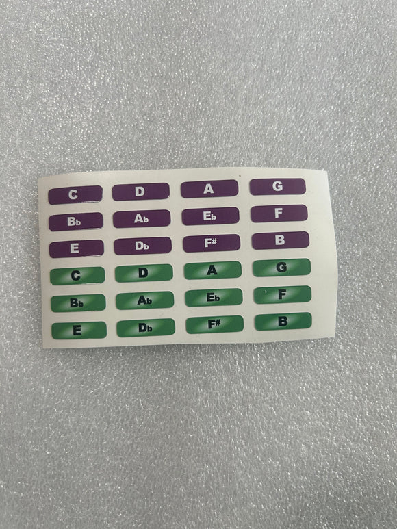 Andrew Zajac Stout Purple & Green Colored Flat Key Labels. Includes Free USA Shipping