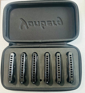 Yonberg Wind Diatonic Harmonica with Phosphor Bronze Reeds (6 Piece Set with Yonberg 6 Piece Case Keys Low F, G, A, Bb, C, D). Includes Free USA Shipping