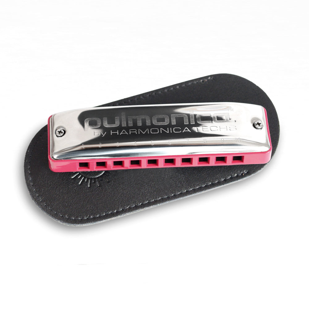 Seydel pulmonica hot sale