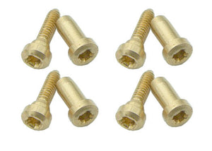 Hohner Crossover Cover Plate Screws- Marine Band Crossover, Thunderbird And Octave, Auto Valve. TM99602 INCLUDES Free USA Shipping!!