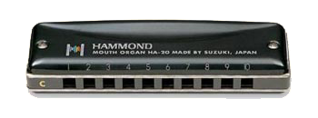 Suzuki Hammond Promaster